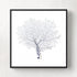 Framed Blue Sea Fan - Black Frame